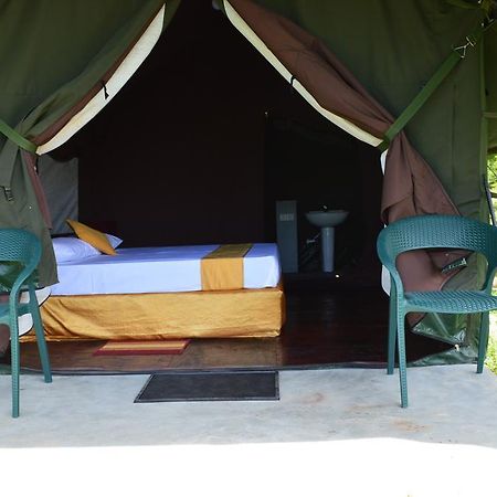 Wild Panthera Yala Tissamaharama Exterior foto