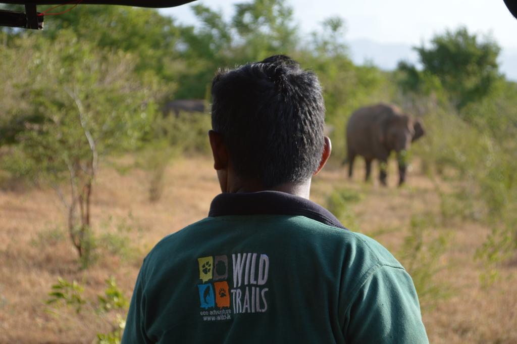 Wild Panthera Yala Tissamaharama Exterior foto